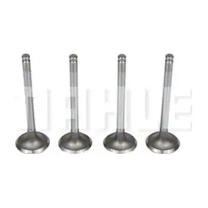 MAHLE VA0250060