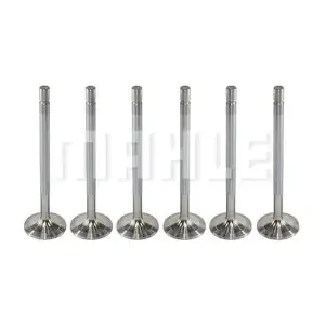 MAHLE VA0480244