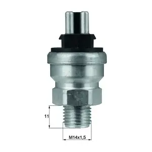 TSW 47 MAHLE