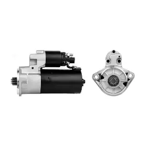 MAHLE MS 1091