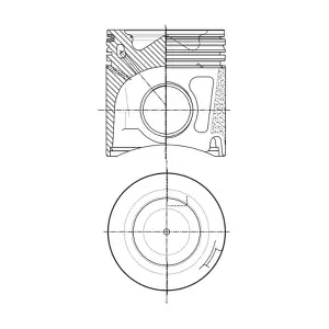 007 PI 00147 000 MAHLE