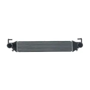 CI683000S MAHLE