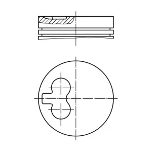 MAHLE 0295500