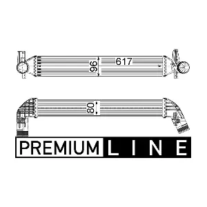 CI230000P MAHLE