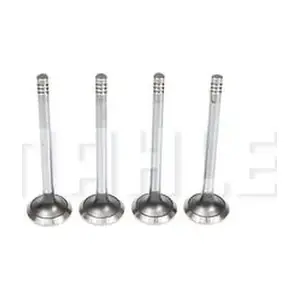 MAHLE VE0440301