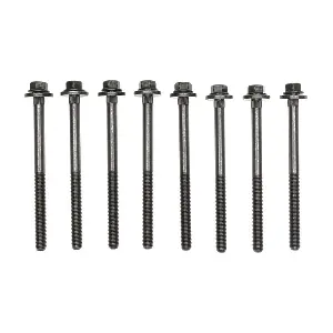 GS33366 MAHLE