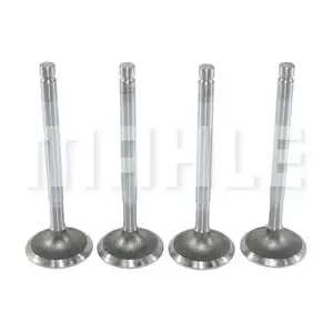 MAHLE VA0250018