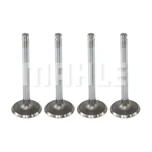 VA0570024 MAHLE