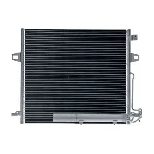 AC 756 000S MAHLE