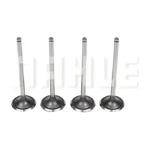 VA0440561 MAHLE