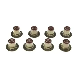 SS45920 MAHLE