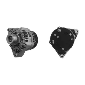 MG19 MAHLE