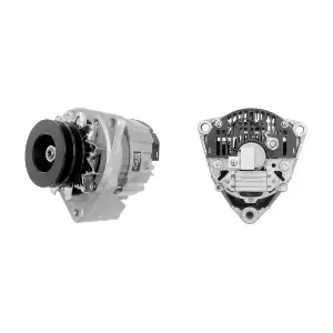 MG206 MAHLE