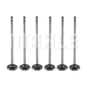 MAHLE VA0710203