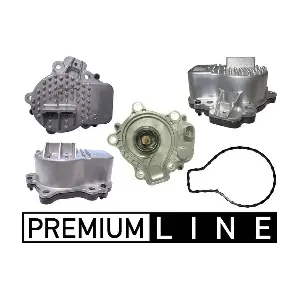 MAHLE CP 602 000P
