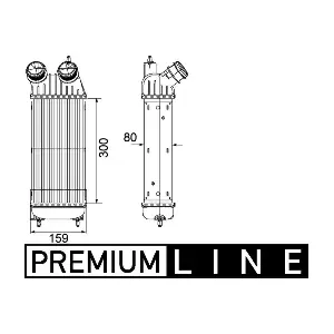 CI 171 000P MAHLE