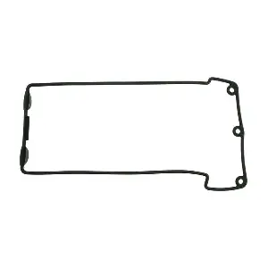 VS50507SL MAHLE