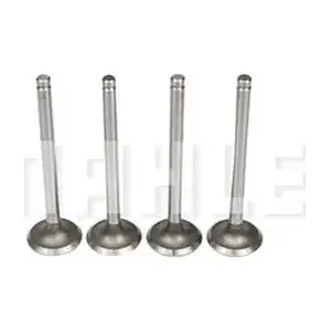 MAHLE VE0570036