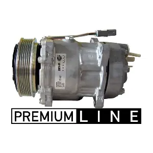 MAHLE ACP 29 000P