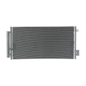 AC 983 000S MAHLE