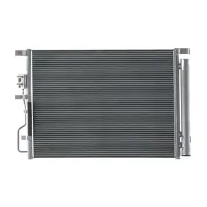 AC 61 000S MAHLE