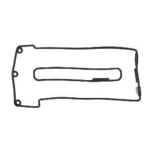 VS50507SR MAHLE