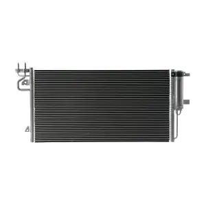 AC103000P MAHLE