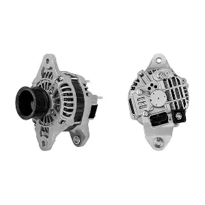 MG1019 MAHLE