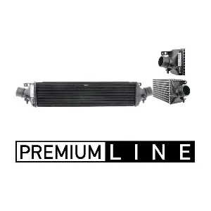 CI373000P MAHLE