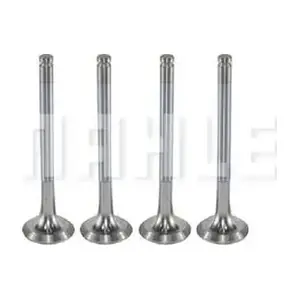 VE0250053 MAHLE