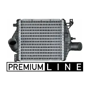 CI 106 000P MAHLE