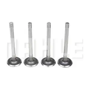VA0700082 MAHLE