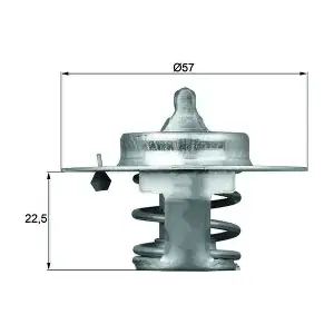 TX 60 83D MAHLE