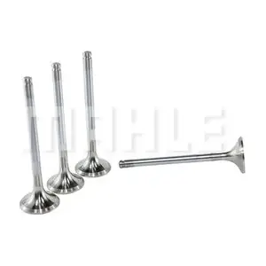 VE0010212 MAHLE