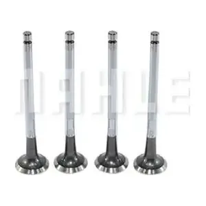 VE0440598 MAHLE