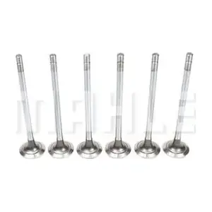 MAHLE VE0211261