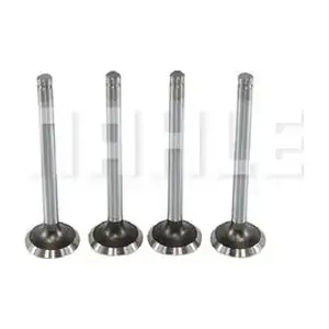 MAHLE VE0570023