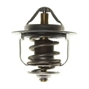 TX17077 MAHLE