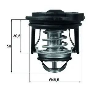 TI 246 50 MAHLE