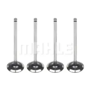 VA0180421 MAHLE