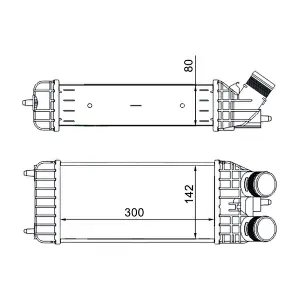 CI210000S MAHLE