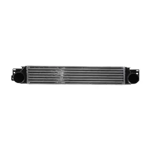 CI390000S MAHLE