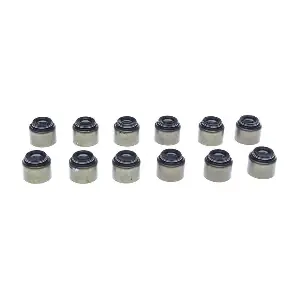 SS45790 MAHLE