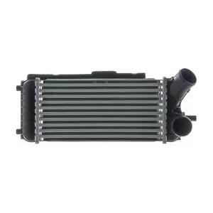 CI 246 000S MAHLE