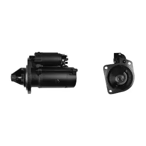 MAHLE MS224