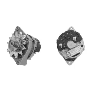 MAHLE MG 217