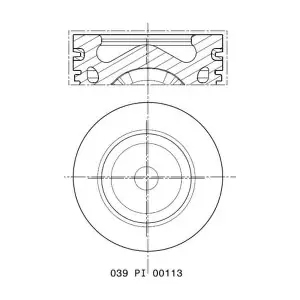 039PI00113000 MAHLE