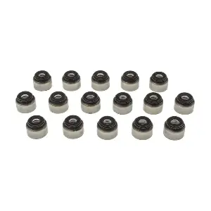 SS45549 MAHLE