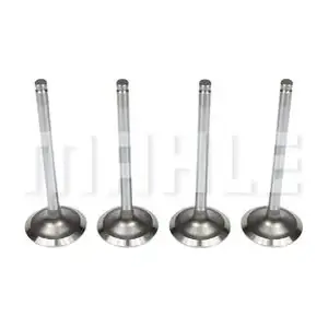 VA0250513 MAHLE