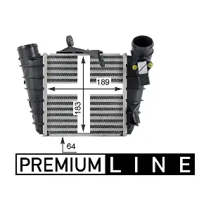 CI298000P MAHLE